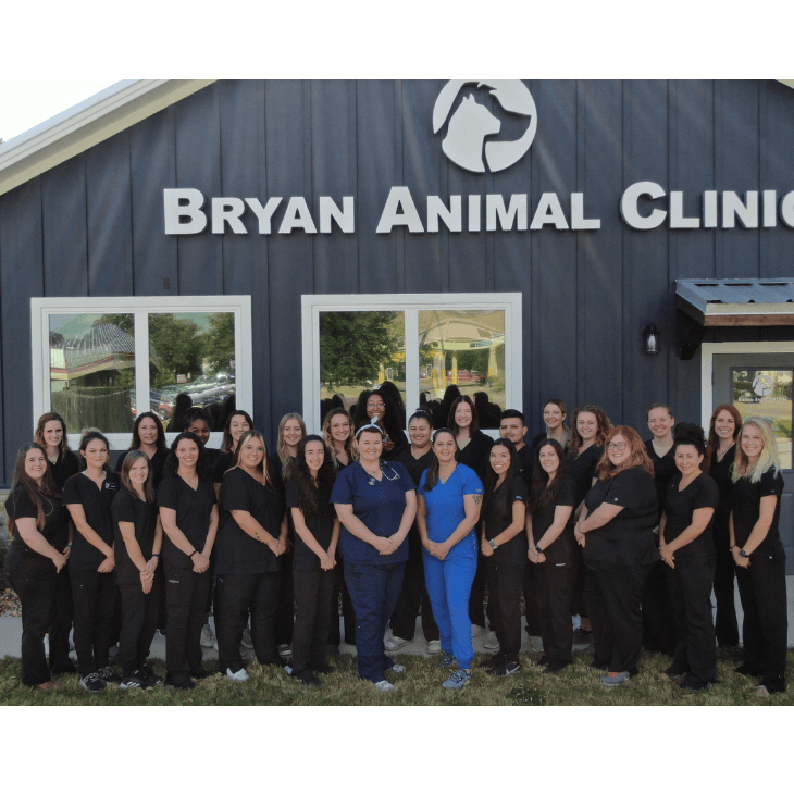 bryan animal clinic team photo