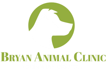 Best Veterinary Hospital In Bryan, TX | Bryan Animal Clinic